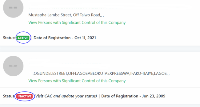 CAC Annual Returns Filing Services
